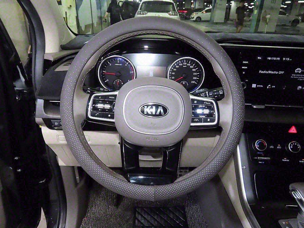 KIA Carnival - Vista 9