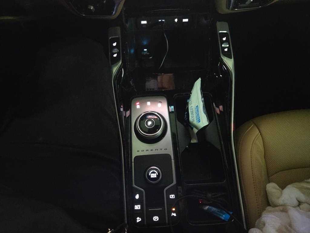 KIA Sorento - Vista 11