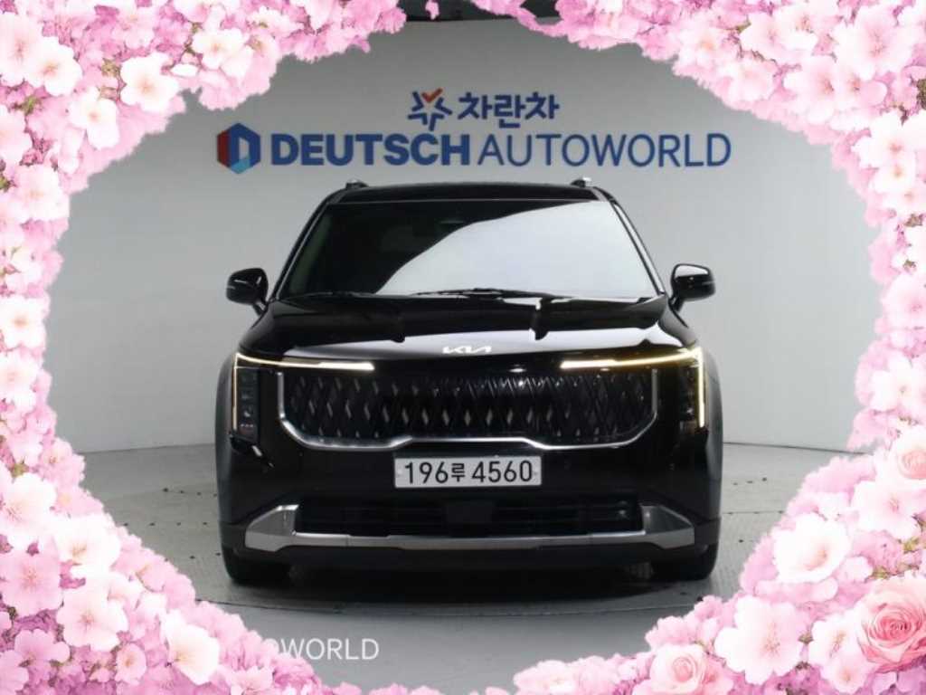 KIA Carnival - Vista 2