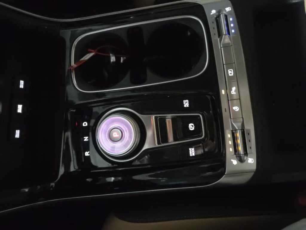 KIA Carnival - Vista 12