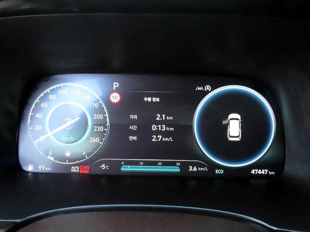 HYUNDAI Palisade - Vista 10