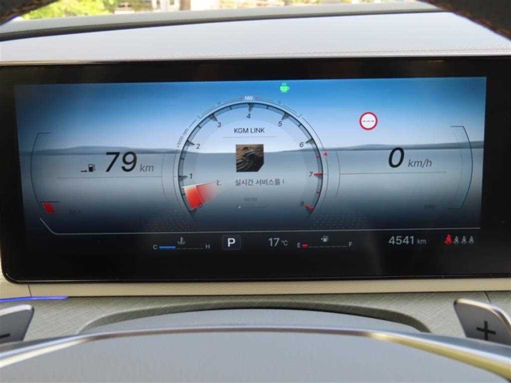 Ssangyong Torres - Vista 5