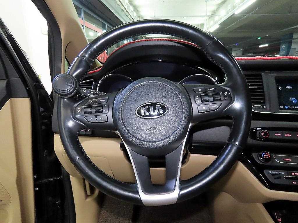 KIA Carnival - Vista 8