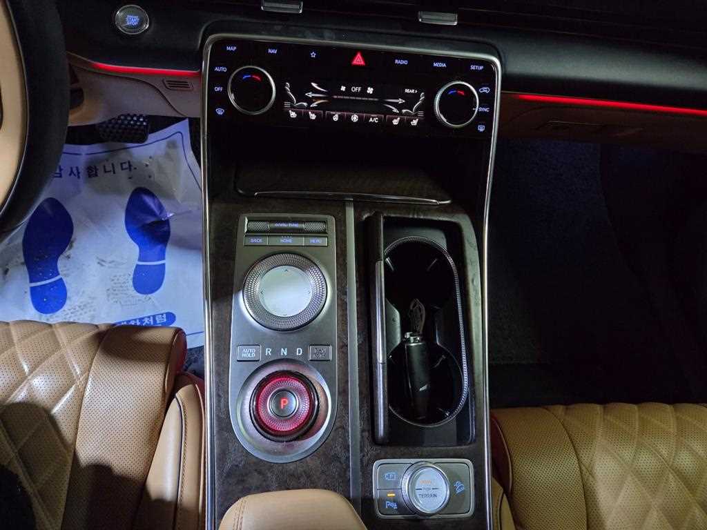 Genesis GV80 - Vista 10