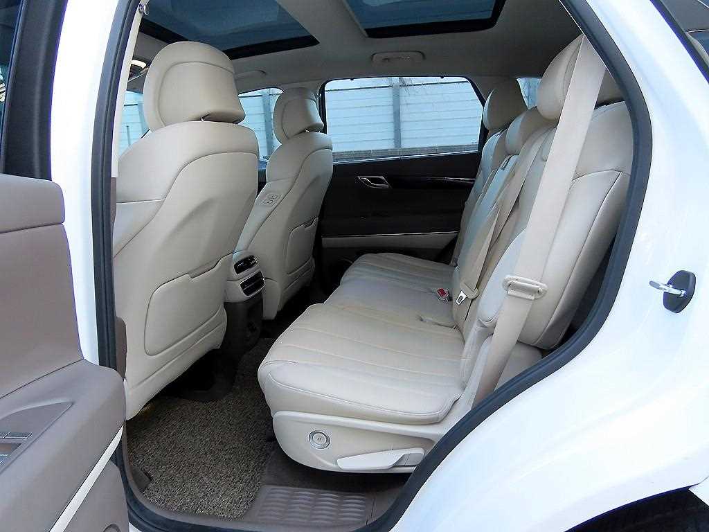 Genesis GV80 - Vista 6