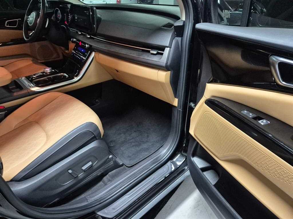 KIA Carnival - Vista 10