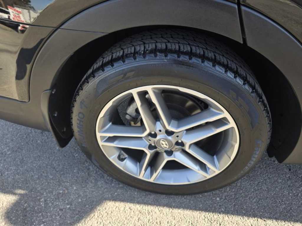 HYUNDAI Maxcruz - Vista 6