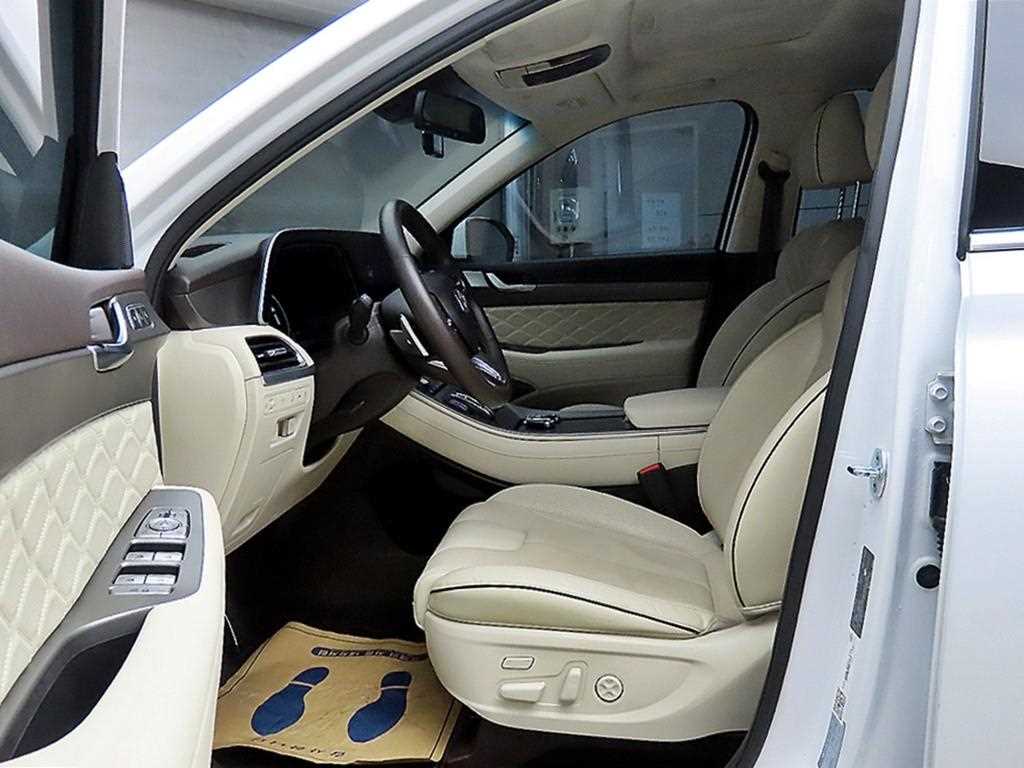 HYUNDAI Palisade - Vista 5