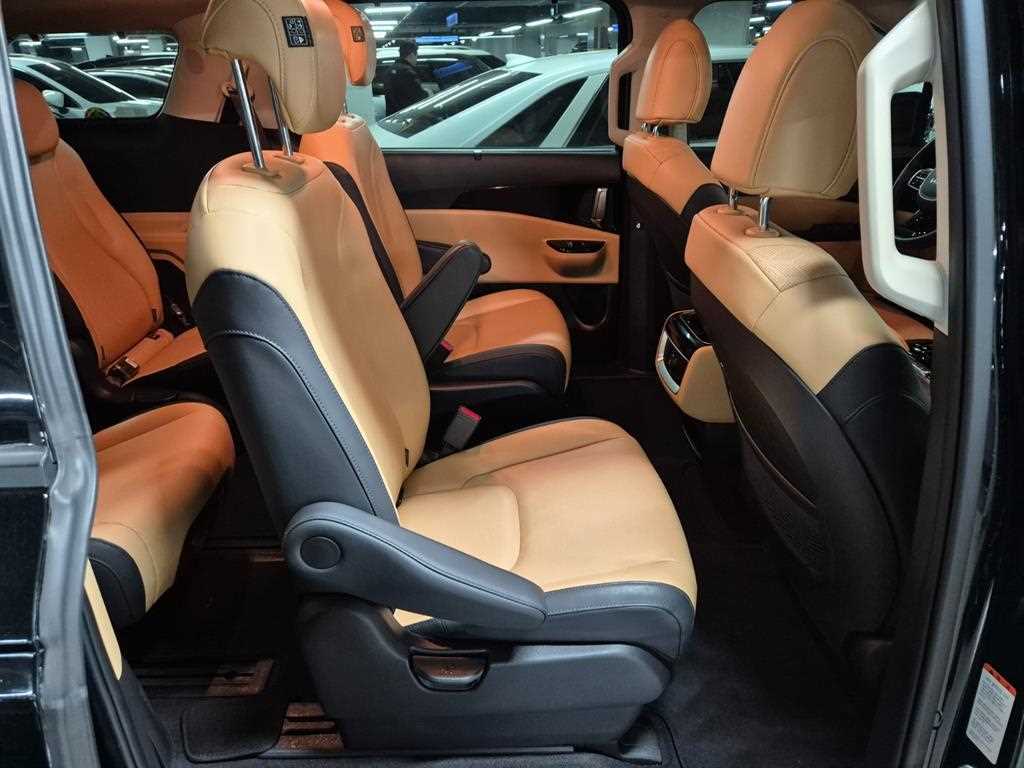 KIA Carnival - Vista 12