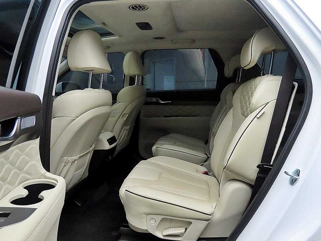 HYUNDAI Palisade - Vista 6