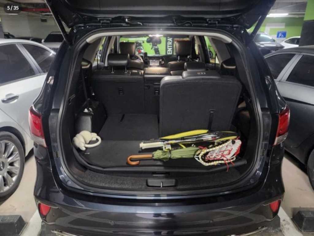 HYUNDAI Maxcruz - Vista 5