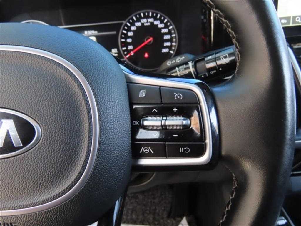 KIA Sorento - Vista 11