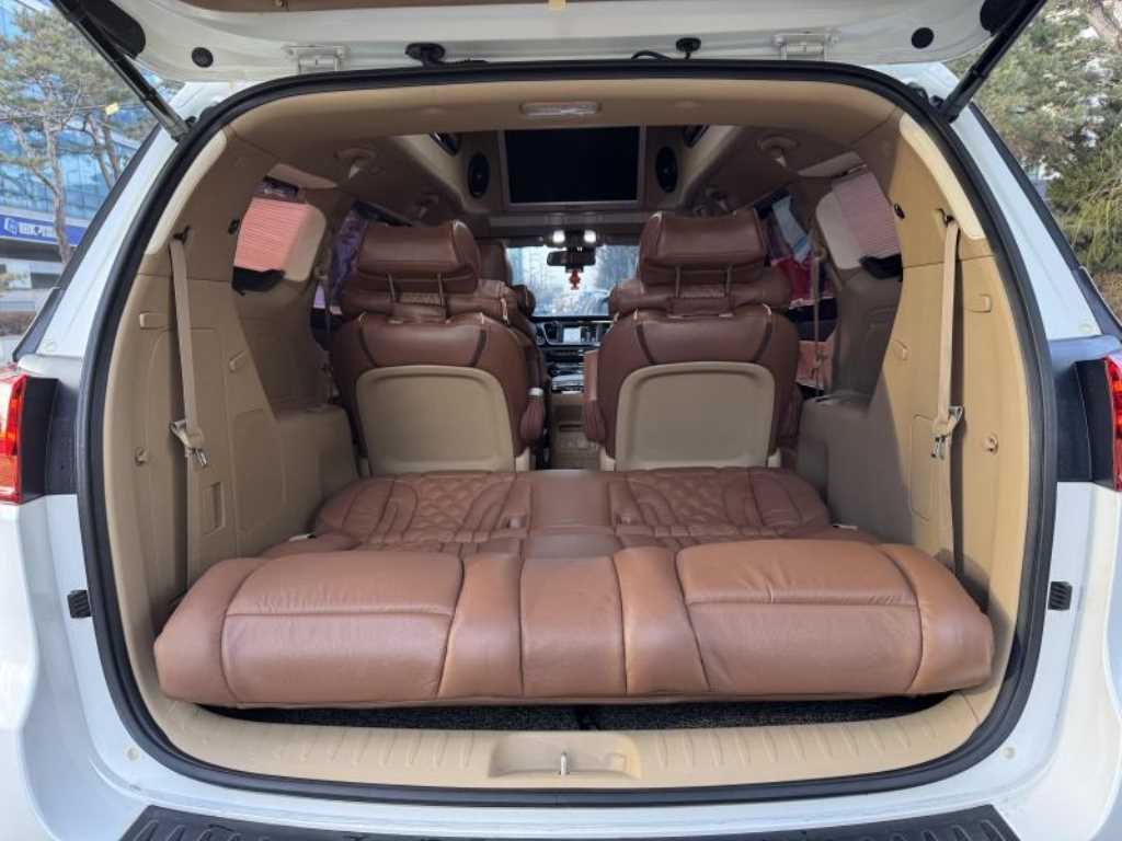 KIA Carnival - Vista 11