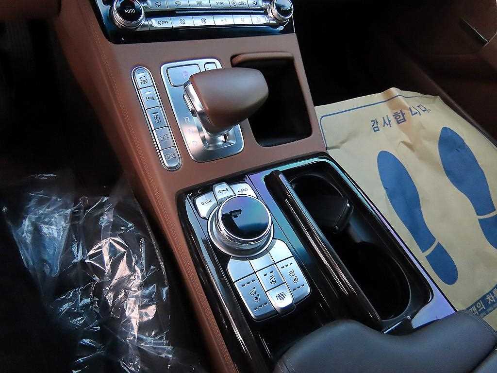 Genesis G90 - Vista 11