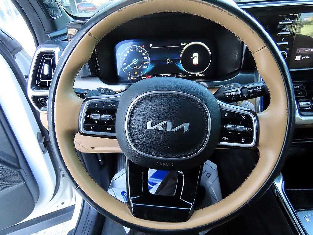 KIA Sorento - Vista 8