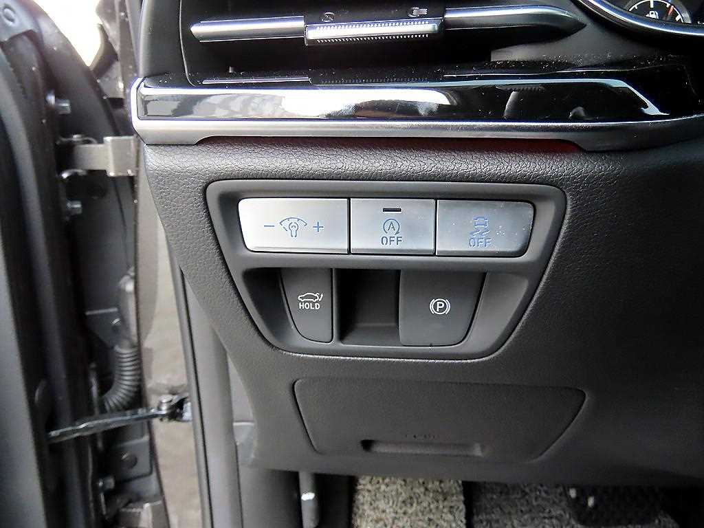 Genesis G80 - Vista 11