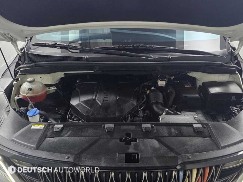 KIA Carnival - Vista 6