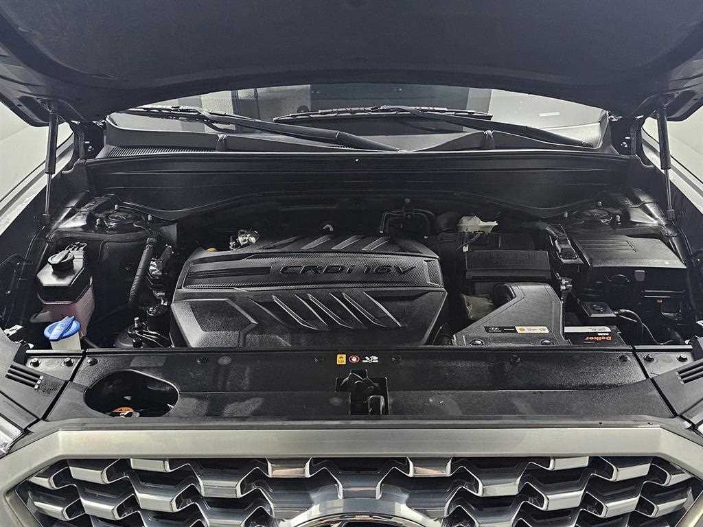 HYUNDAI Palisade - Vista 6