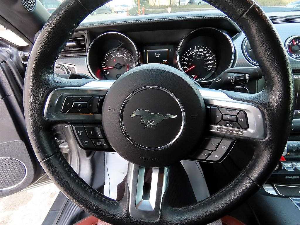 Ford Mustang - Vista 12