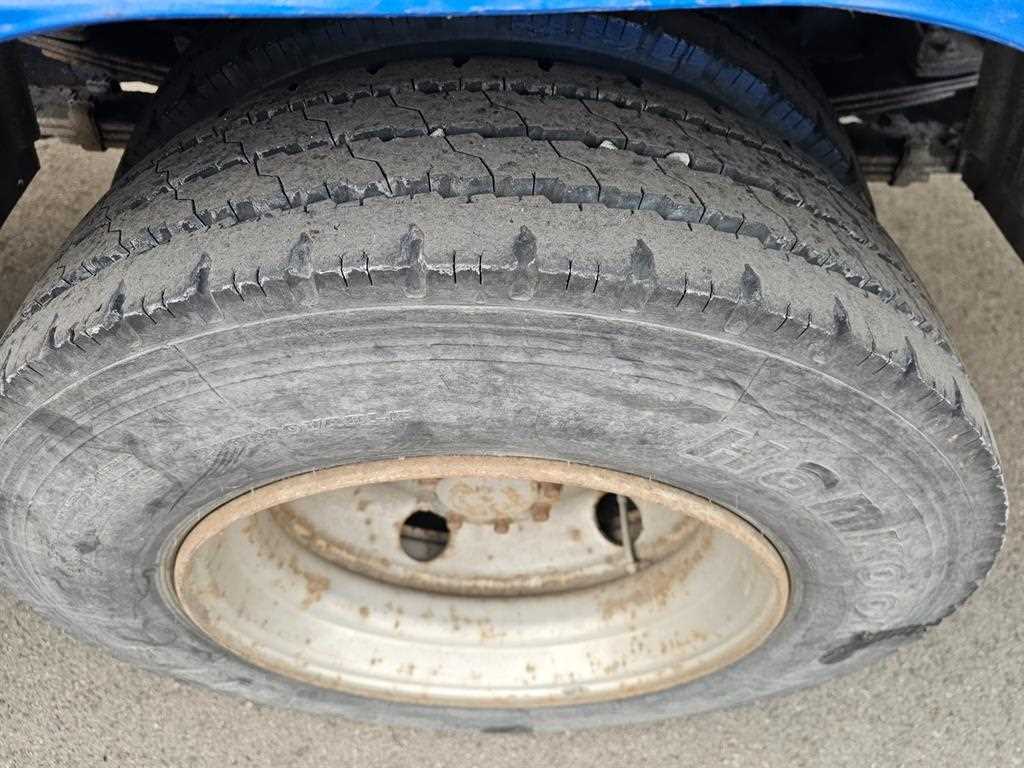 medium and large cargo Rory - Vista 10