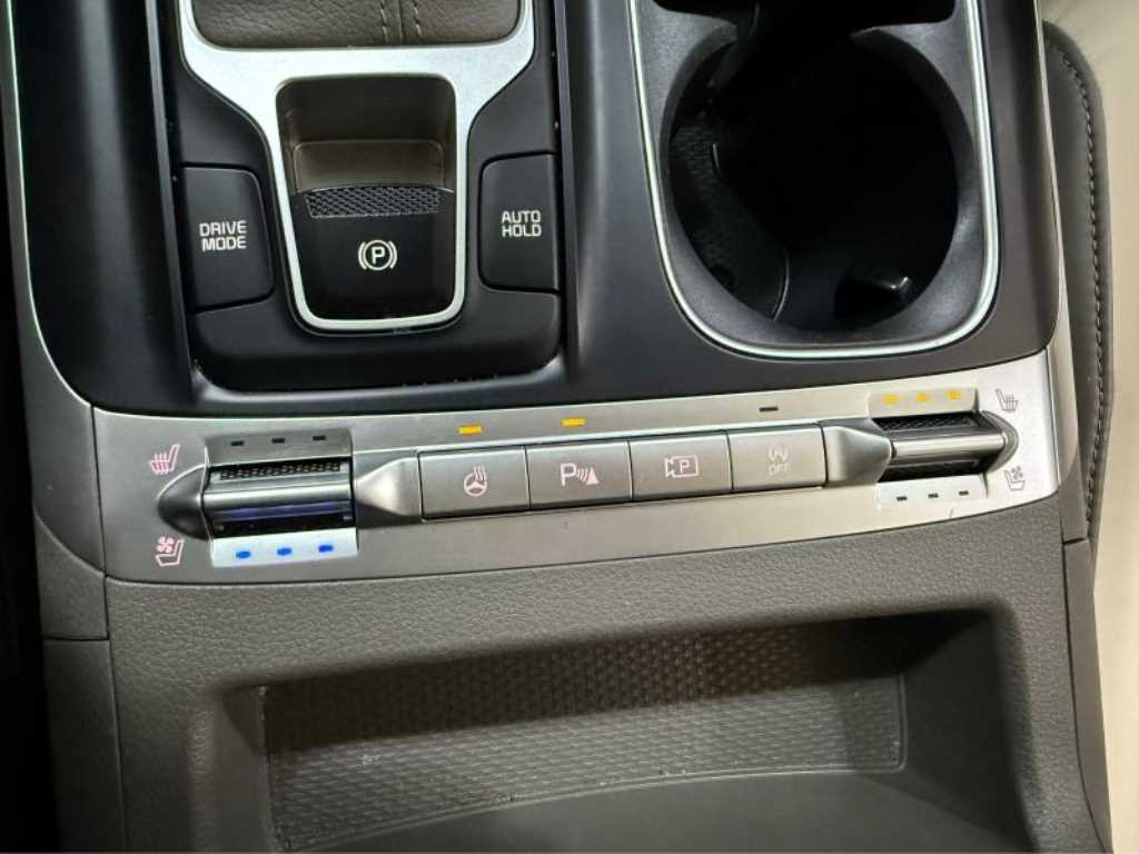 KIA Carnival - Vista 12