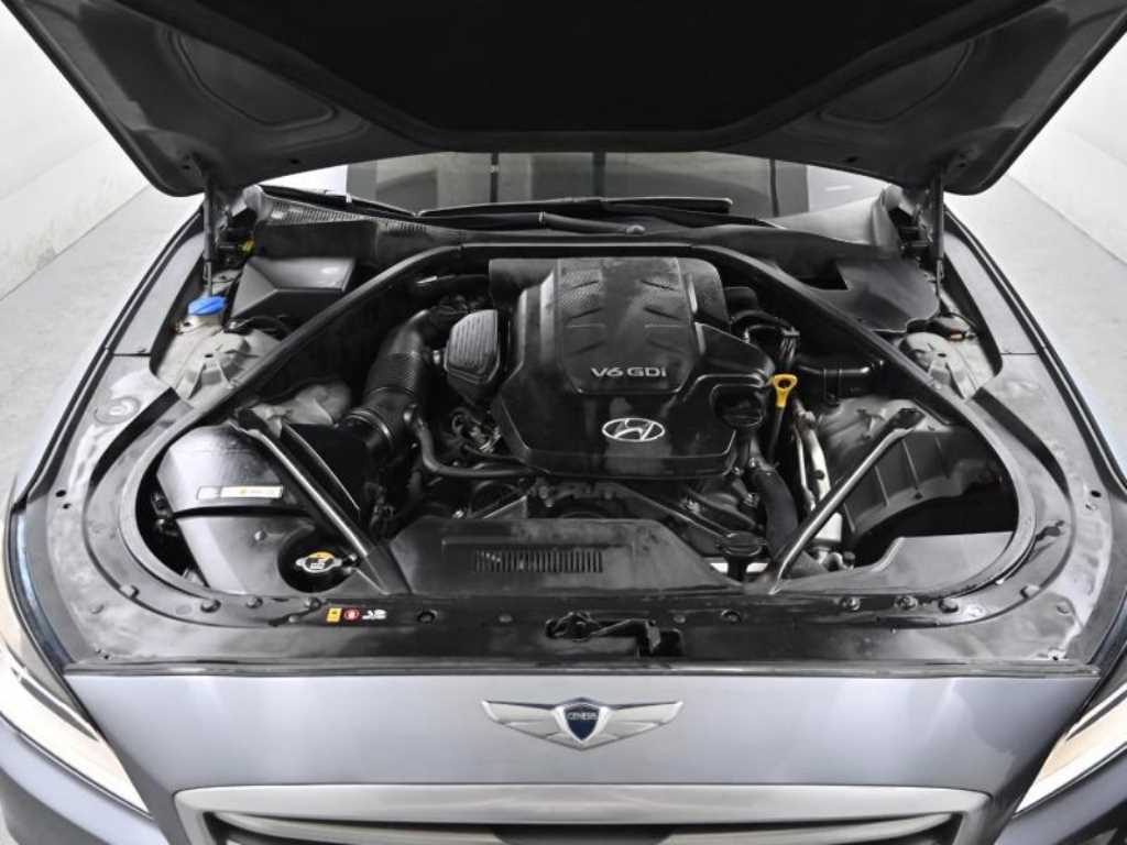 HYUNDAI Genesis - Vista 6