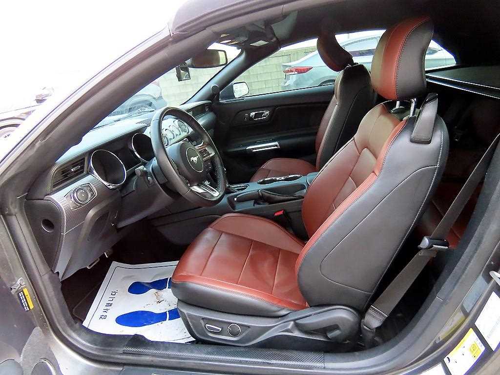 Ford Mustang - Vista 9