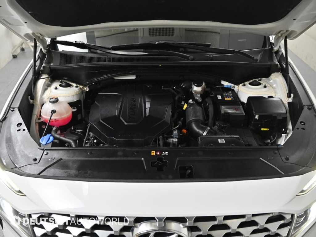 HYUNDAI Santa Fe - Vista 6