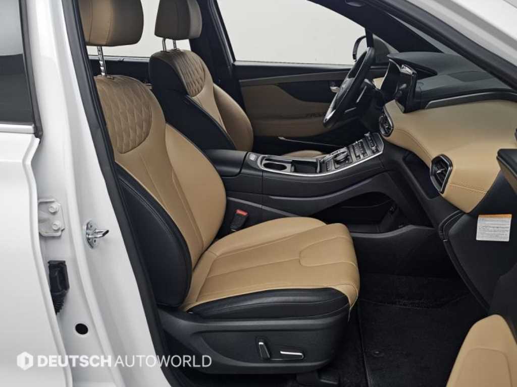 HYUNDAI Santa Fe - Vista 10