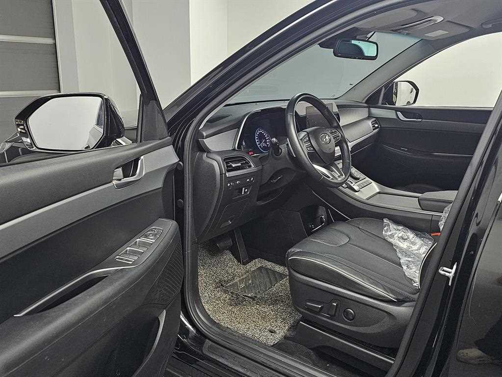 HYUNDAI Palisade - Vista 11