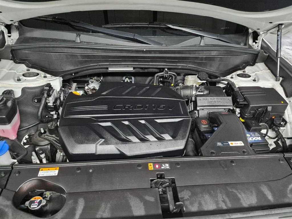 HYUNDAI Palisade - Vista 6