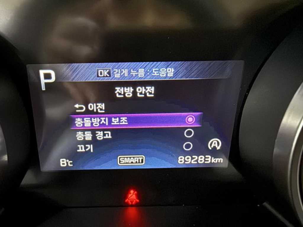 KIA Carnival - Vista 10