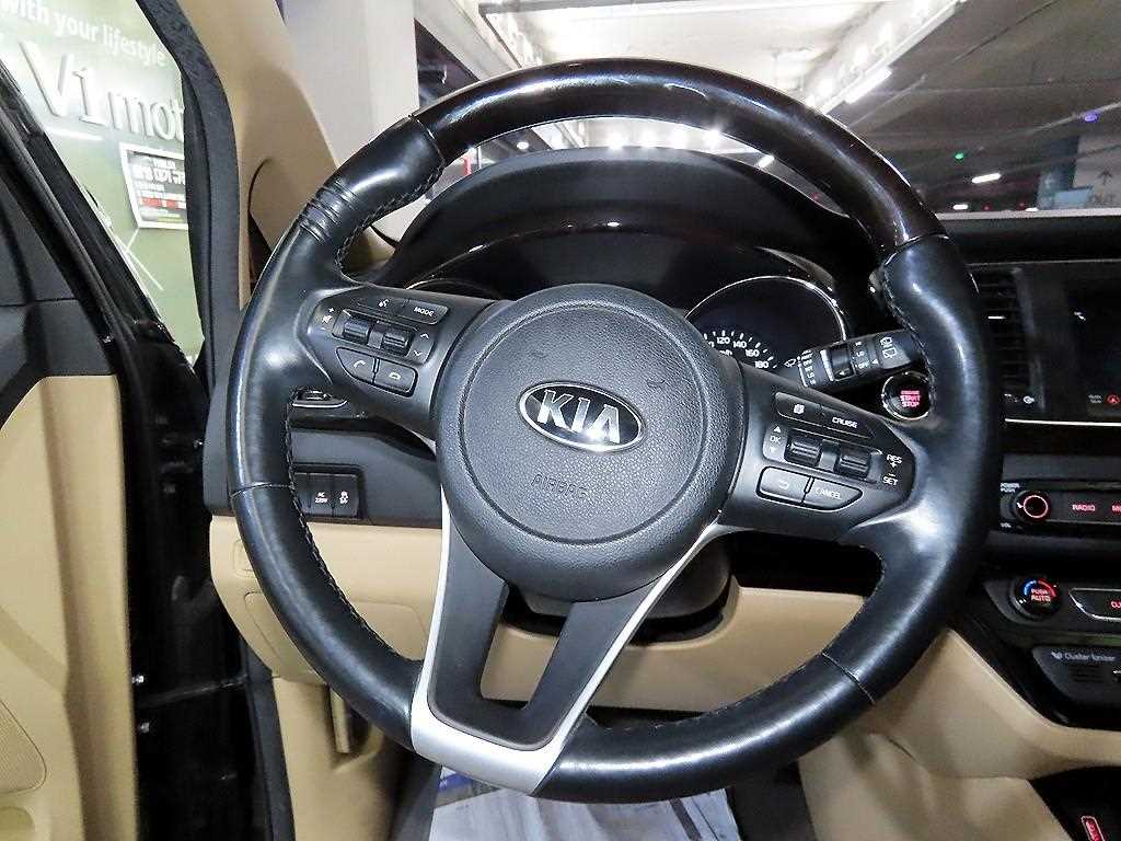 KIA Carnival - Vista 8