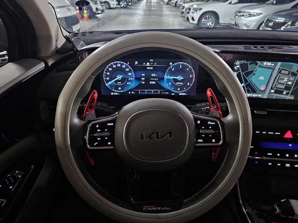 KIA Carnival - Vista 12