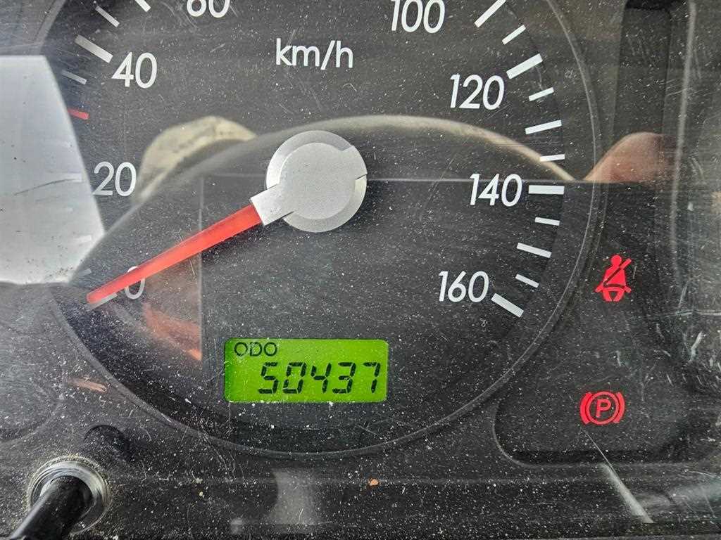 medium and large cargo Rory - Vista 8