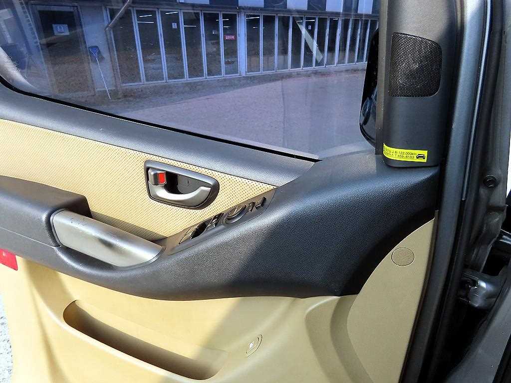 HYUNDAI Starex - Vista 12