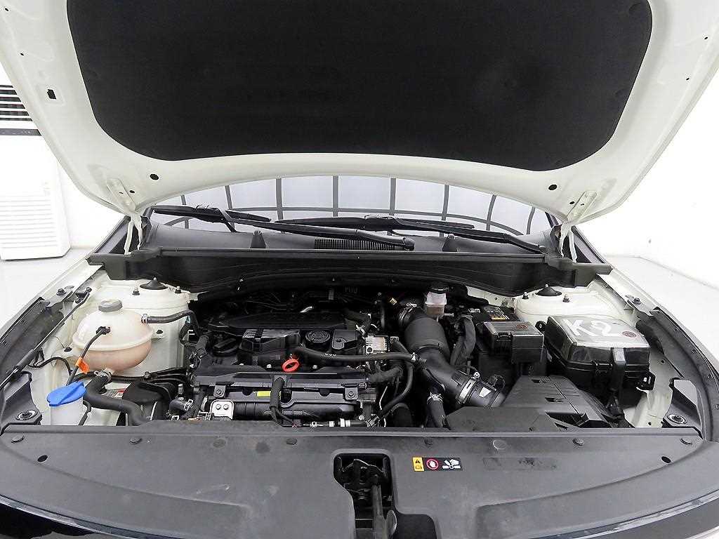 KIA Sportage 2024 Blanco - Importación desde Corea - HF Imports Iquique - Foto 19