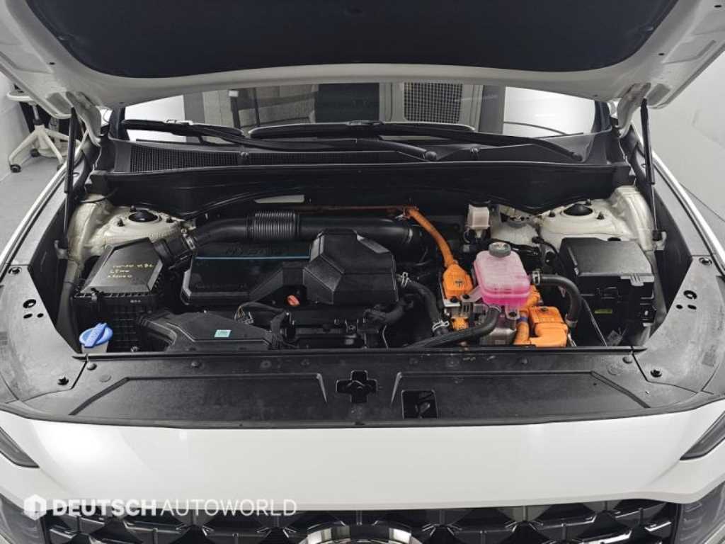 HYUNDAI Santa Fe - Vista 6