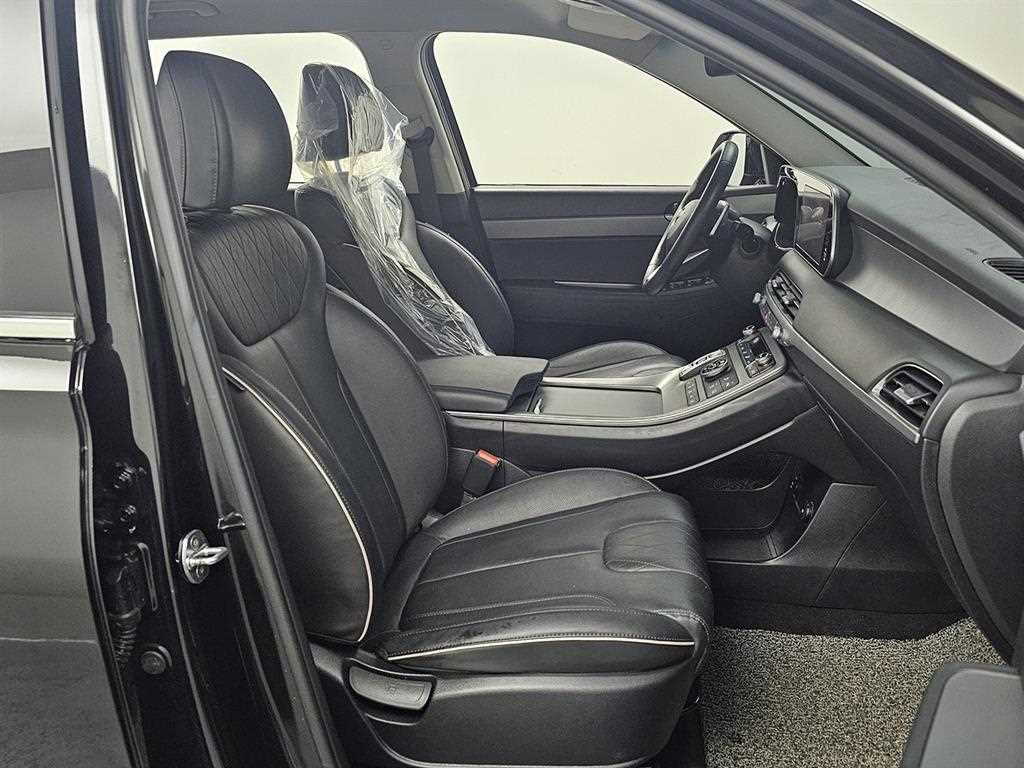 HYUNDAI Palisade - Vista 10