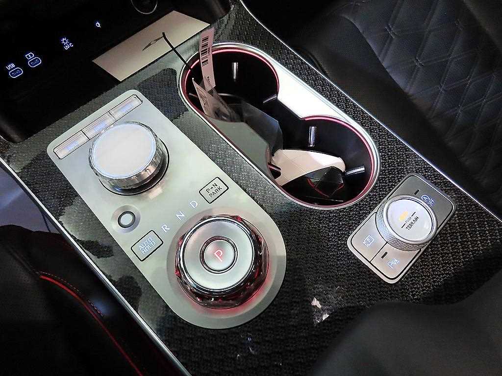 Genesis GV80 - Vista 12