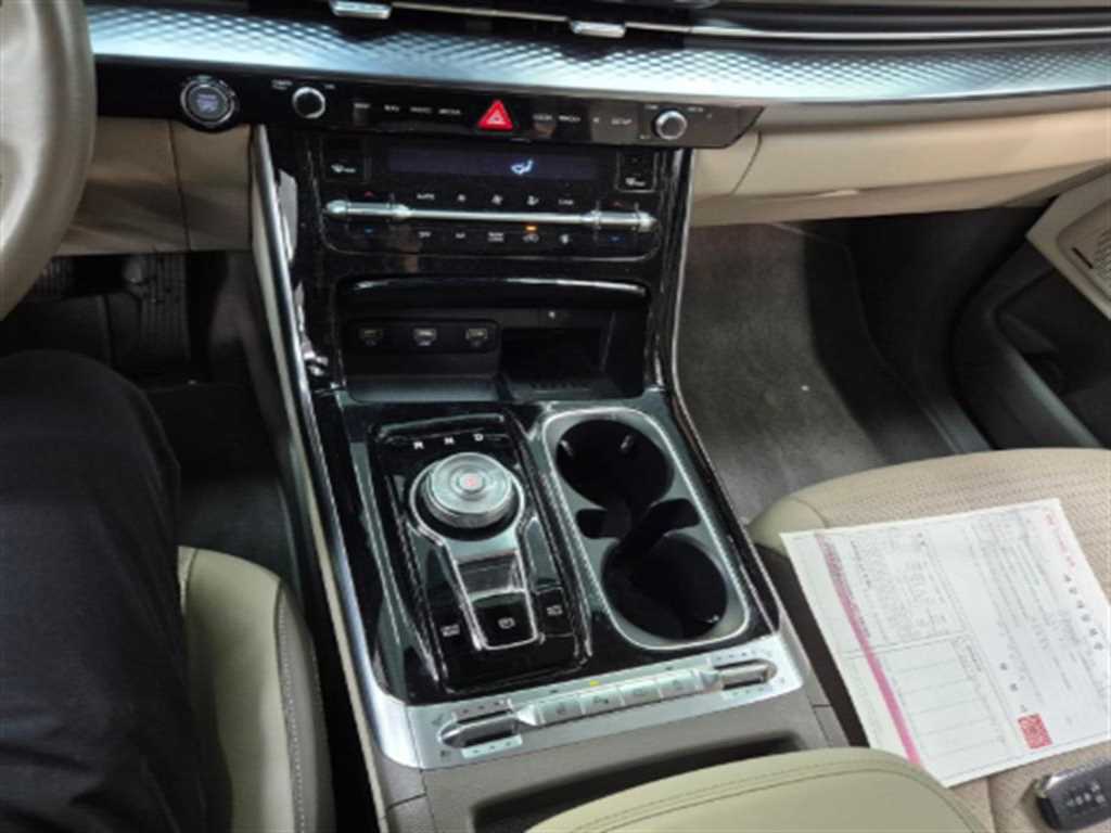 KIA Carnival - Vista 11