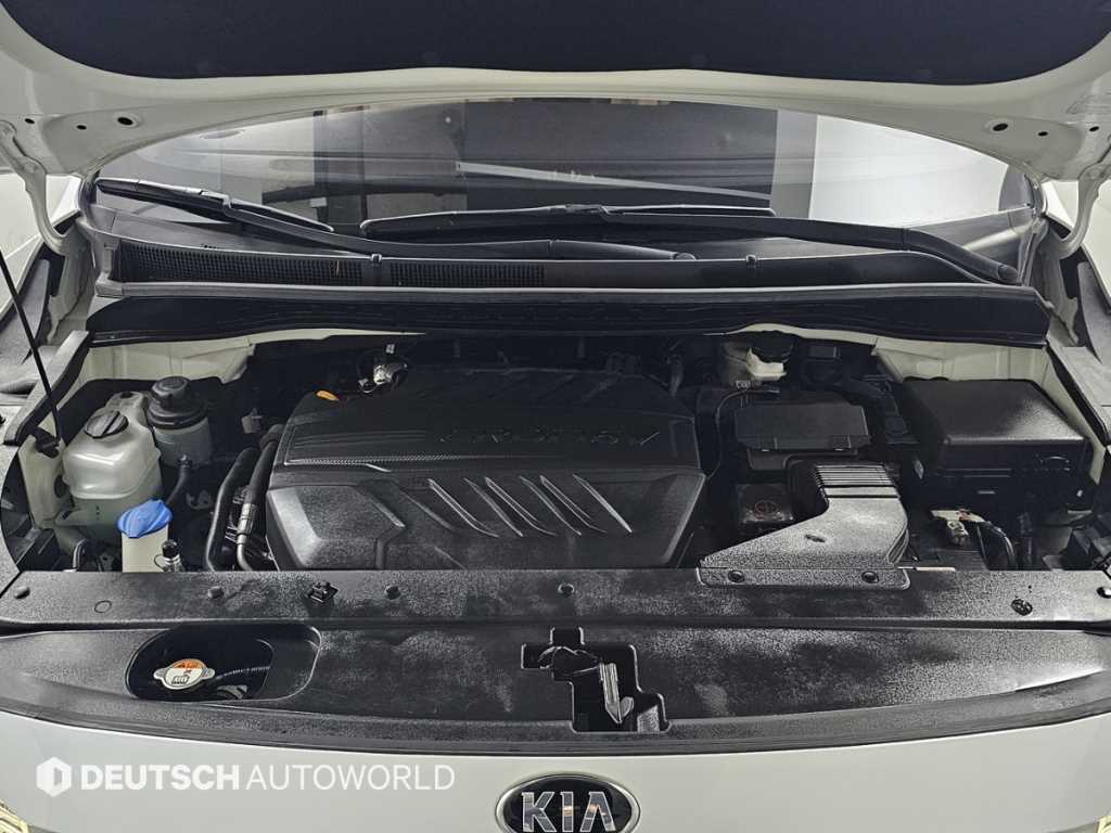 KIA Carnival - Vista 6