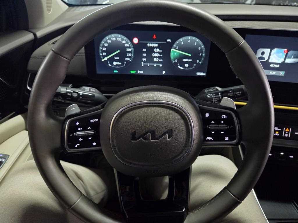 KIA Carnival - Vista 12