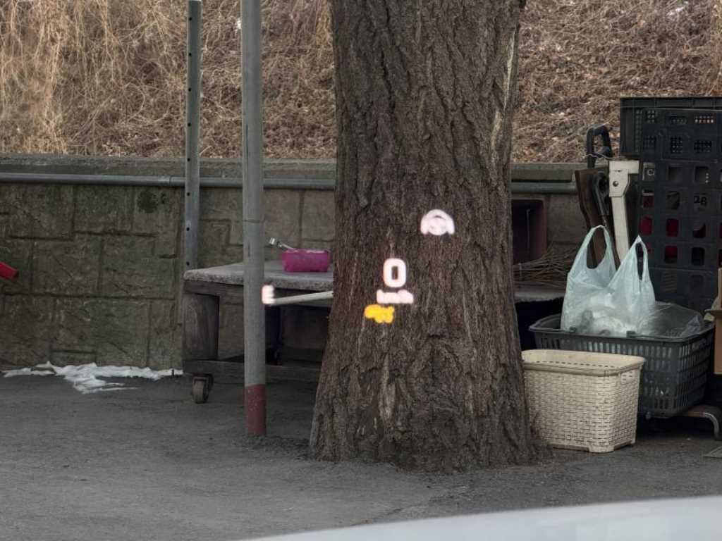 Mercedes Benz C Class 2021 Blanco - Importación desde Corea - HF Imports Iquique - Foto 15