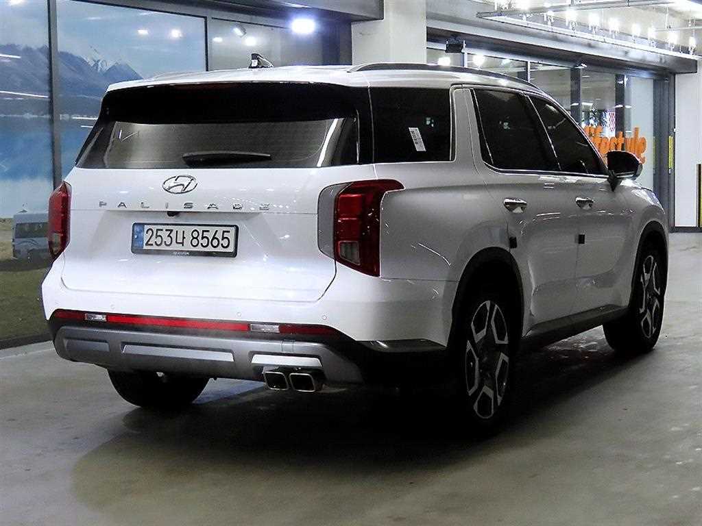 HYUNDAI Palisade - Vista 4