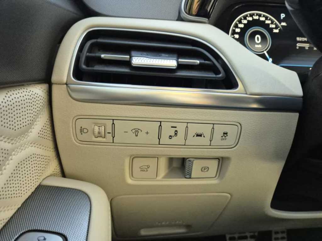 HYUNDAI Palisade - Vista 10