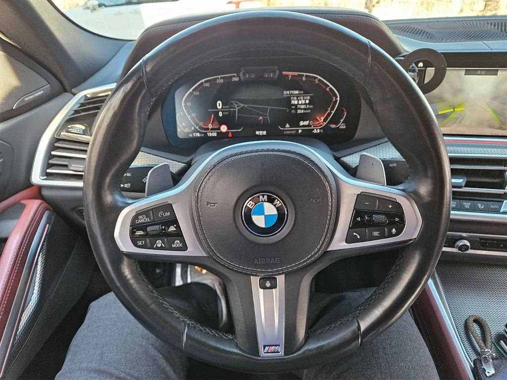 BMW X6 - Vista 12