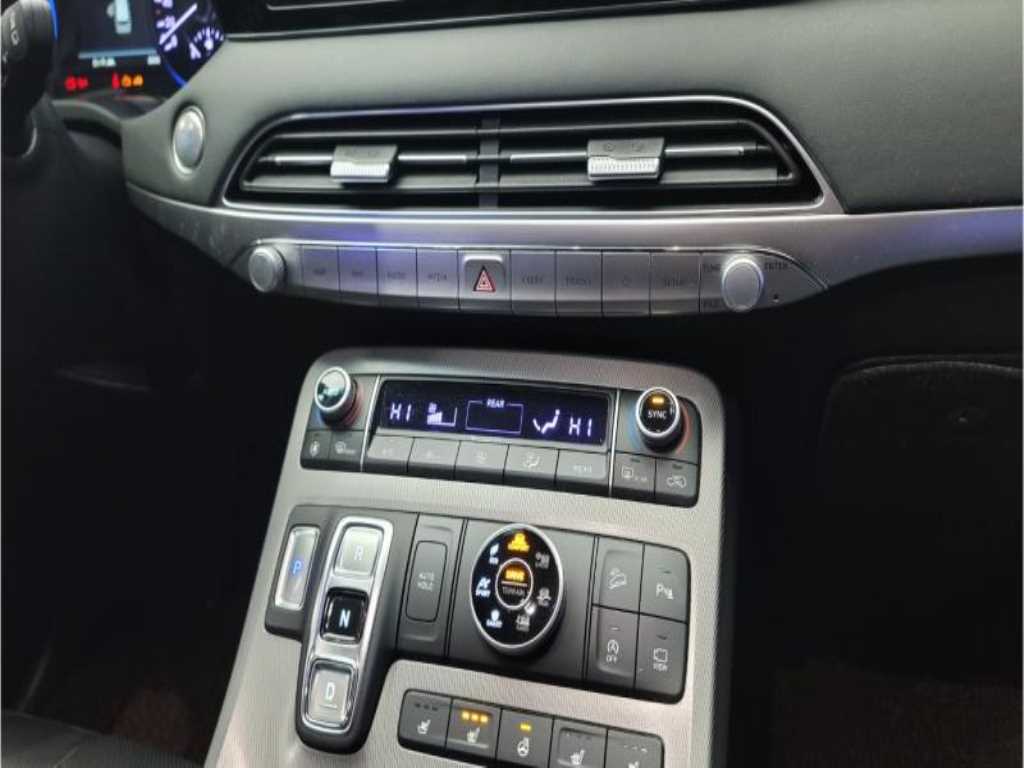 HYUNDAI Palisade - Vista 12