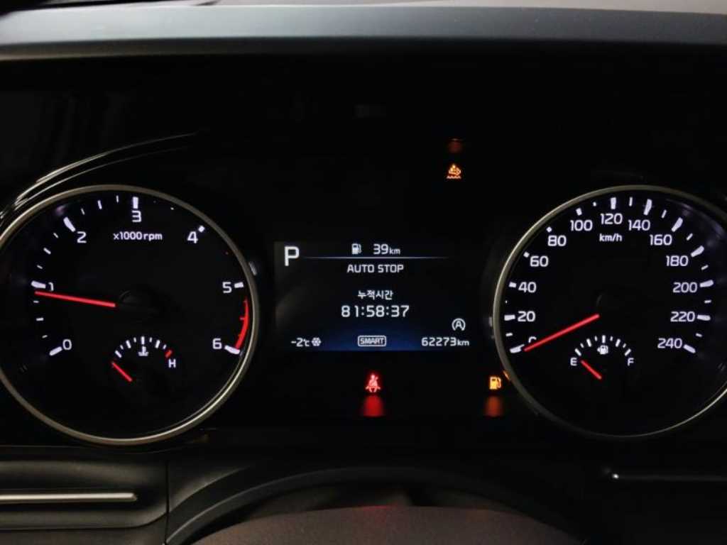 KIA Carnival - Vista 10