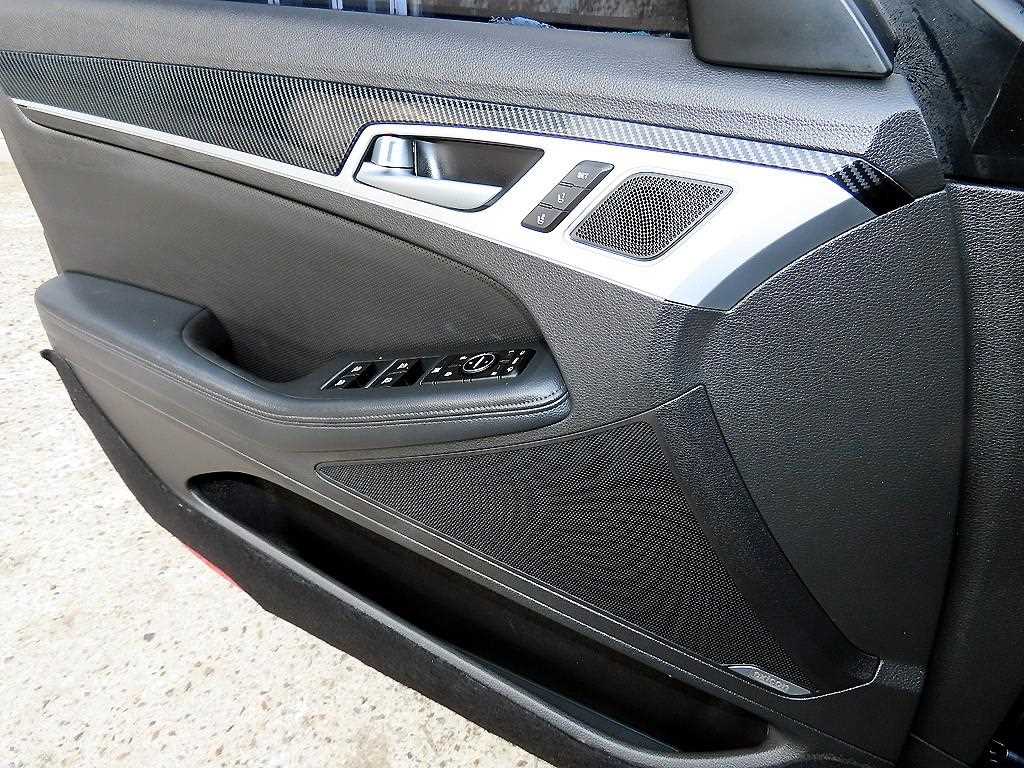 HYUNDAI Genesis - Vista 12